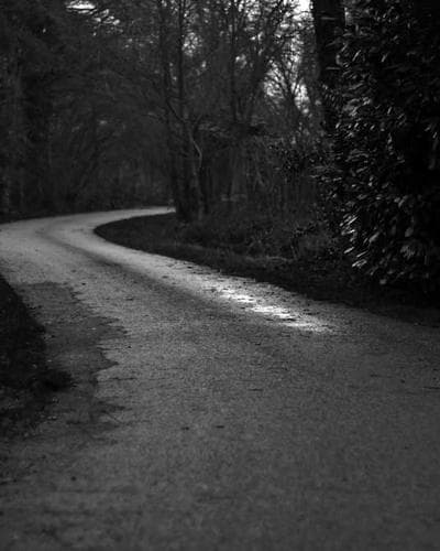 Brembo kocnice prednje za Golf 7 GTI